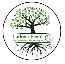 Ludovic Favre